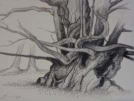 Arbre2